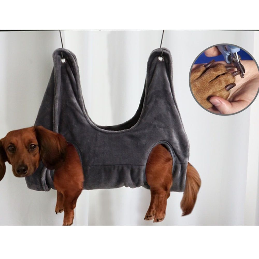 Pet Pawsitively Pampered Hammock - pearl sway